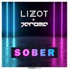 Lizot, Jerome - Sober