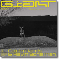 Calvin Harris & Rag'n'Bone Man - Giant