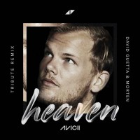 Avicii - Heaven (David Guetta & Morten Remix)