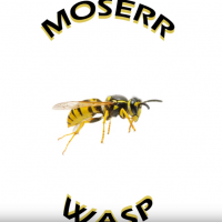 MOSERR - WASP