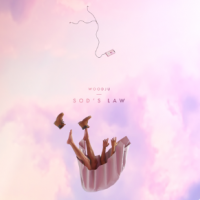 Woodju & Lantsberg - Sod's Law