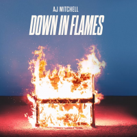 AJ Mitchell - Down In Flames