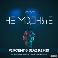 Елена Темникова - Не Модные (Vincent & Diaz Remix)