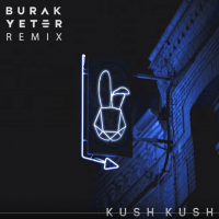 Kush Kush & Burak Yeter - I'm Blue