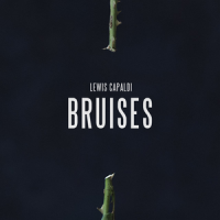 Lewis Capaldi - Bruises