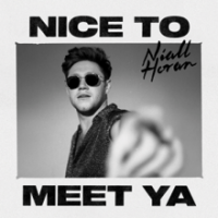 Niall Horan - Nice to meet ya