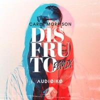 Carla Morrison - Disfruto (Audioiko Remix)