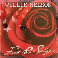 Willie Nelson - I'm the Only Hell My Mama Ever Raised