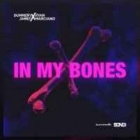 Sunnery James & Ryan Marciano feat. Dan McAlister - In My Bones (2019)