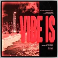 Sherwood Marty feat. Chris Brown - Vibe Is