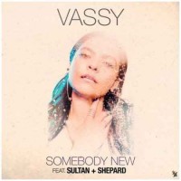 VASSY feat. Sultan & Shepard - Somebody New (2018)