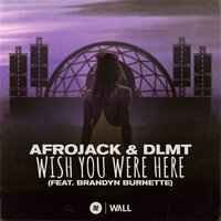 Afrojack & Dlmt & Brandyn Burnette - Wish You Were Here (Extended Mix)