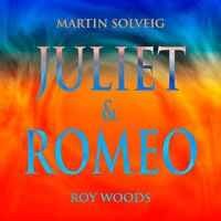 Martin Solveig feat. Roy Woods - Juliet & Romeo (Joy Club Remix)