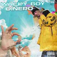 wacky boy - dinero