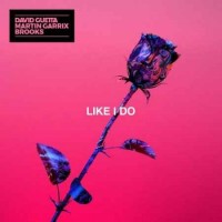 David Guetta feat. Martin Garrix & Brooks - Like I Do