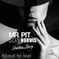 Sean Norvis feat. Mr Pit & Justine Berg - Afraid To Fee