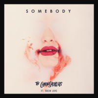 The Chainsmokers - Somebody (feat. Drew Love)