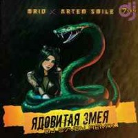 MriD, Artem Smile - Ядовитая змея (DJ S7ven Radio Edit)