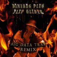 dimebag plug - big data trap (remix)