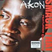 Akon - Smack That