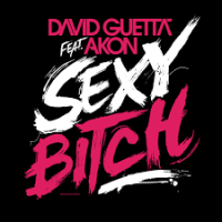 David Guetta, Akon - Sexy Bitch