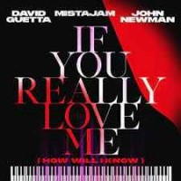 David Guetta, Mistajam, John Newman - If You Really Love Me